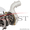 Турбина Mitsubishi Carisma 1.9  - Изображение #2, Объявление #1026222