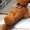 Большие плюшивые медведи Павлодар  - Изображение #3, Объявление #1180709
