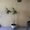 Комнатное растение Драцена - 2.5м. #1307702