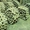 Гусеницы на тр. Т-4 А старого образца, ТТ-4 и ТТ-4 М - Изображение #1, Объявление #1595574