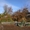 Дача садоводство Сосновый бор, 50 метров от трассы! - Изображение #4, Объявление #1600778