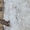 Материалы верхних строений путей (МВСП): рельсы б.у. ж/б, шпалы б.у. ж/б, ...... - Изображение #1, Объявление #1733167