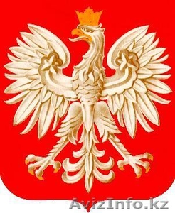 Преподаватель польского языка по Skype