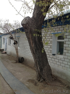 Продам дом в отличном состоянии в центре Павлодара - Изображение #2, Объявление #890538