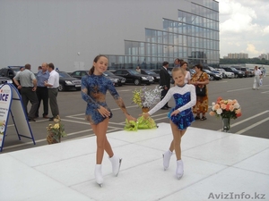 Синтетический лед«Sunny Ice standard» в Павлодаре - Изображение #1, Объявление #983801