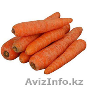 Морковь сорта "Каратэль тупоносовый"  (урожай 2015г) - Изображение #1, Объявление #1280146