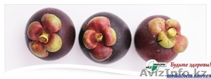 Сок Ксанго из плодов мангостина - Изображение #4, Объявление #1416961