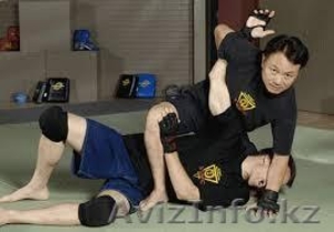  Индивидуальные занятия по системе ближнего боя Вин Чун (липкие руки) - Изображение #3, Объявление #1628942