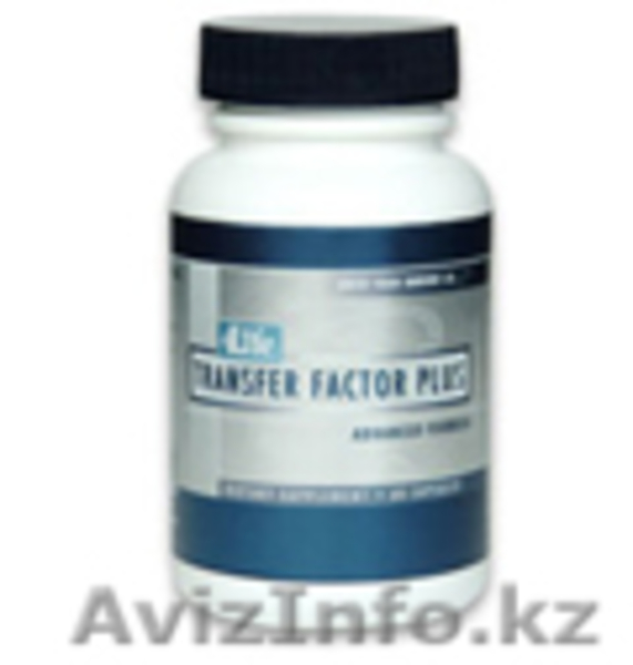 Трансфер Фактор Плюс - Изображение #1, Объявление #119259