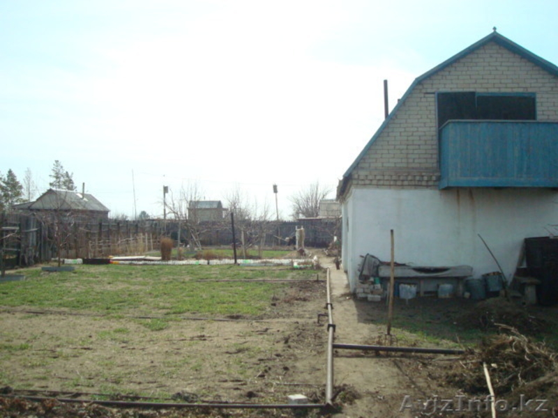 продам дачу, сад яблонька - Изображение #4, Объявление #227267