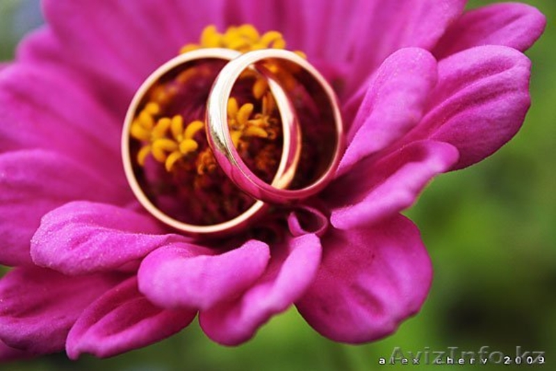 Wedd Studio. Искусство свадебной фотогографии. - Изображение #3, Объявление #280411