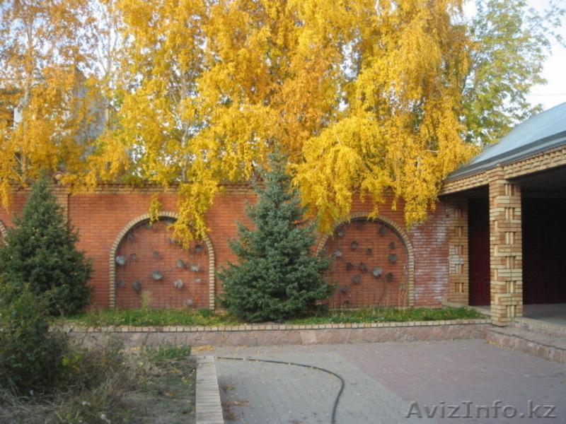 Продаю большой добротный дом - Изображение #5, Объявление #526009