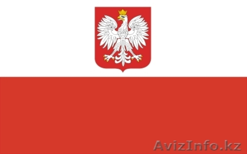 Репетитор польского языка по Skype - Изображение #1, Объявление #679241