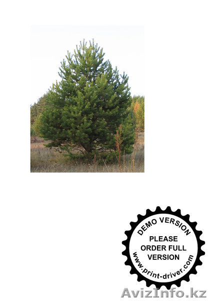 ТОО Best Garant KAZ - Изображение #2, Объявление #750239