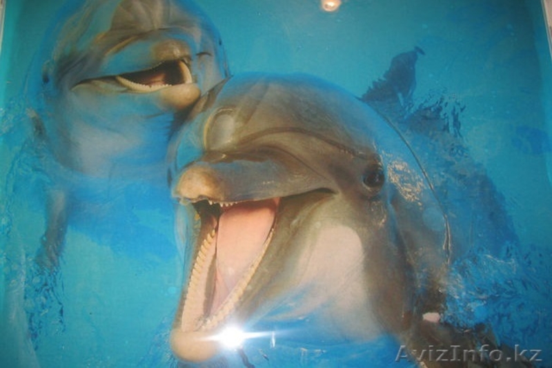 Наливной дизайнерский пол в Павлодаре - Изображение #1, Объявление #972405