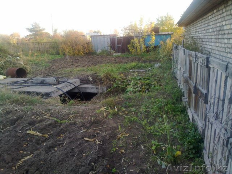 Продам дачу сад сосновый бор - Изображение #1, Объявление #1076345