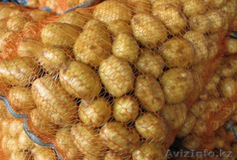 Картофель высшего качества - Изображение #2, Объявление #1254037