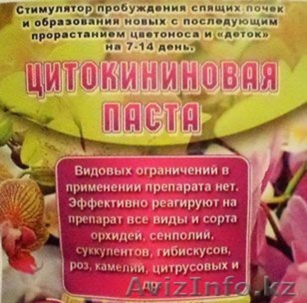 Цитокининовая паста - Изображение #1, Объявление #1264100