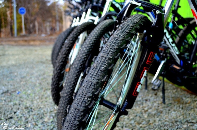 Прокат Велосипедов Павлодар - Изображение #1, Объявление #287265