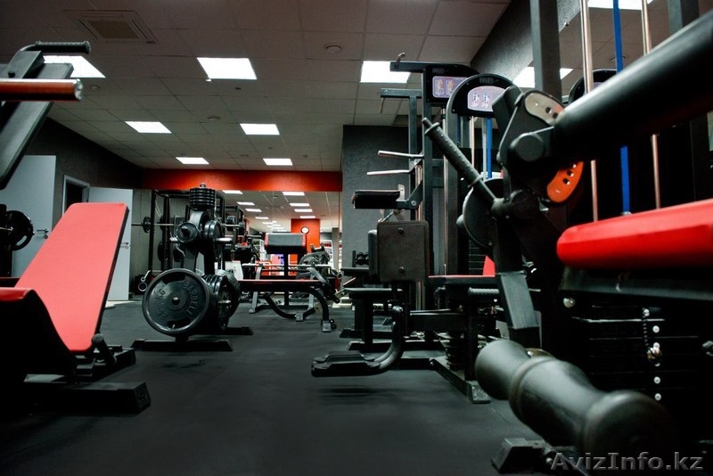 Спортивные покрытия в Павлодаре - Изображение #3, Объявление #1402980