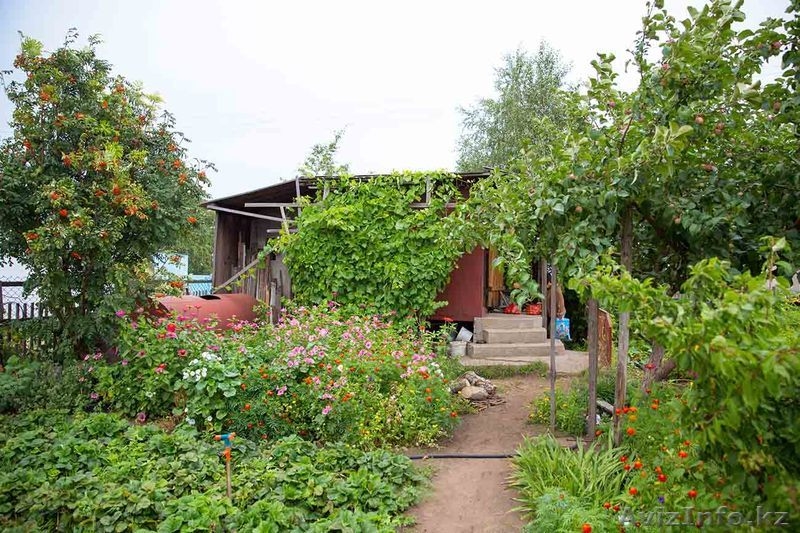 Продам дачу садоводство сосновый бор - Изображение #3, Объявление #1595151