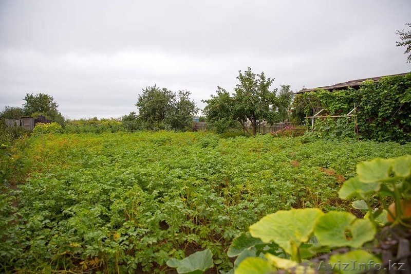 Продам дачу садоводство сосновый бор - Изображение #2, Объявление #1595151