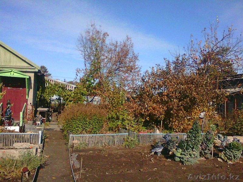 Дача садоводство Сосновый бор, 50 метров от трассы! - Изображение #4, Объявление #1600778