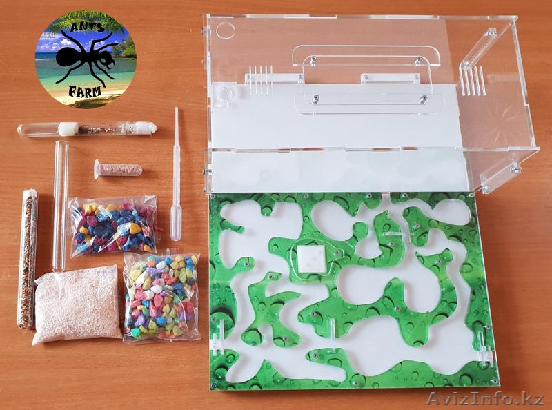 Муравьиная ферма (Формикарий) - Изображение #1, Объявление #1632600