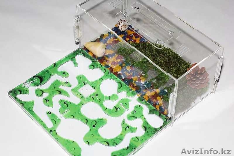 Муравьиная ферма (Формикарий) - Изображение #3, Объявление #1632600