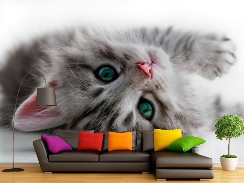  Фотообои на стену любого размера - Изображение #2, Объявление #1695094