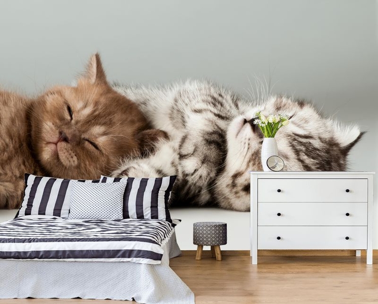  Фотообои на стену любого размера - Изображение #8, Объявление #1695094