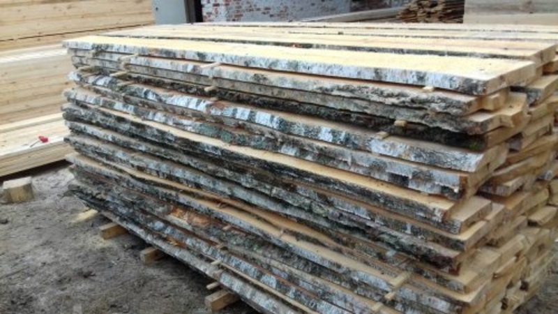 Берёза не обрезная - Изображение #1, Объявление #1699729