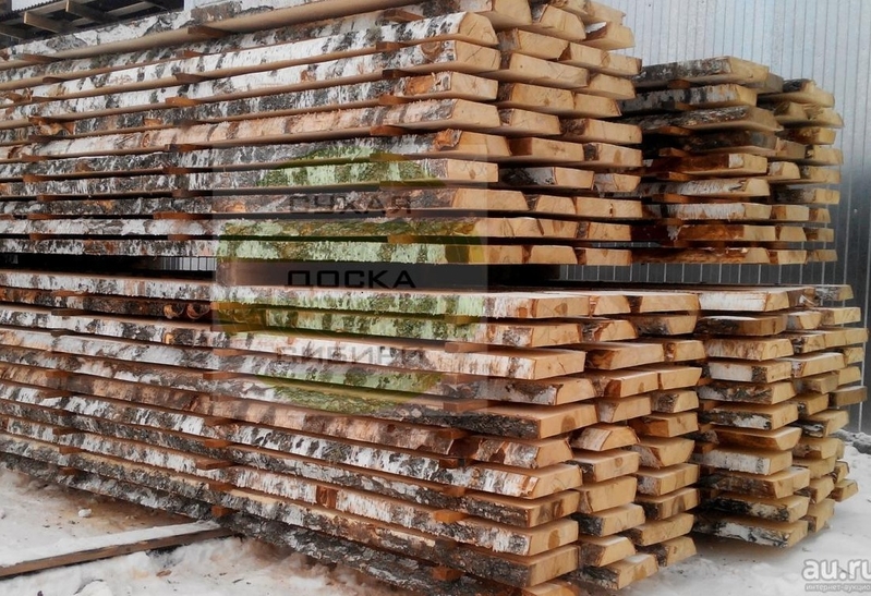 Берёза не обрезная - Изображение #5, Объявление #1699729