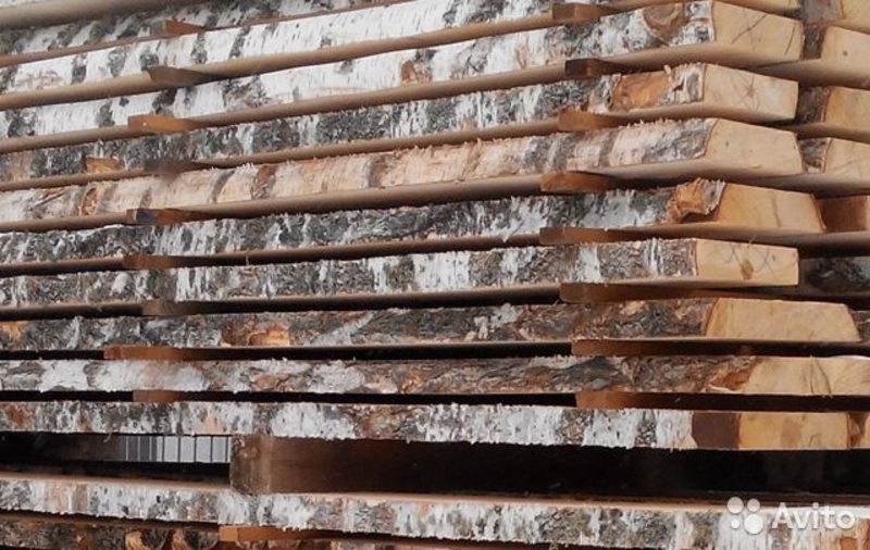 Берёза не обрезная - Изображение #6, Объявление #1699729