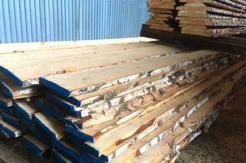 Берёза не обрезная - Изображение #4, Объявление #1699729