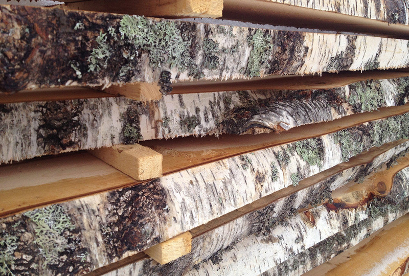 Берёза не обрезная - Изображение #9, Объявление #1699729