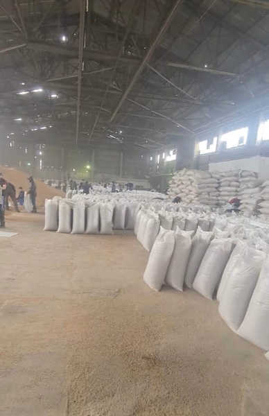 Зерно, пшеница - Изображение #2, Объявление #1714299